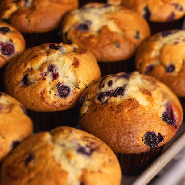 Close-up of several golden-brown blueberry muffins with visible blueberries, in a baking tray.
